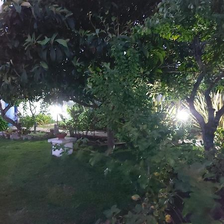 Vila Casa Do Sobral Обидуш Экстерьер фото